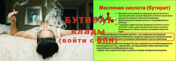 спиды Бородино