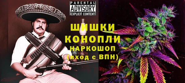 МДПВ Бронницы