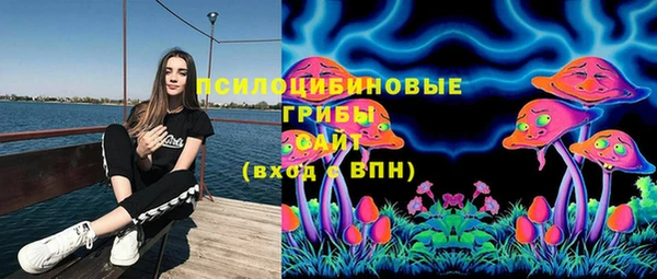 спиды Бородино