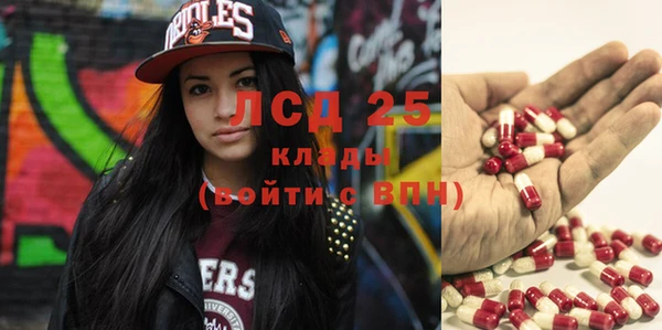 спиды Бородино