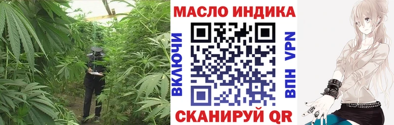 магазин продажи наркотиков  Городовиковск  ТГК THC oil 
