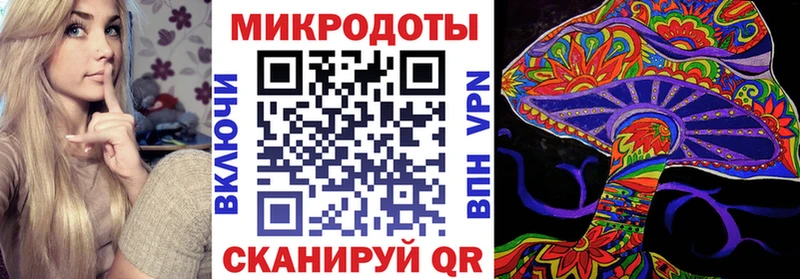 как найти закладки  Городовиковск  Псилоцибиновые грибы Psilocybe 