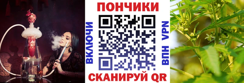 Бошки марихуана Amnesia  shop официальный сайт  Городовиковск 
